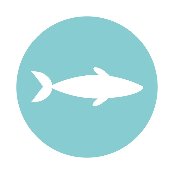 Isolated shark block style icon vector design — Stock Vector