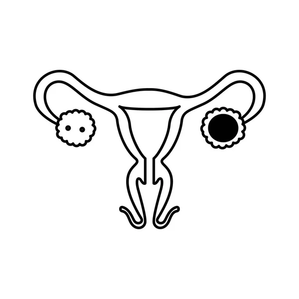 Diseño vectorial aislado del icono del sistema reproductor femenino — Archivo Imágenes Vectoriales