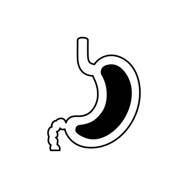 Izolowana ikona wektora żołądka — Wektor stockowy