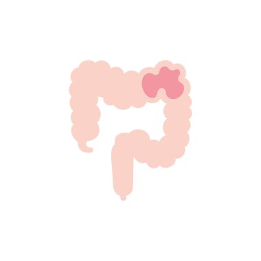 Isolated large intestine icon vector design