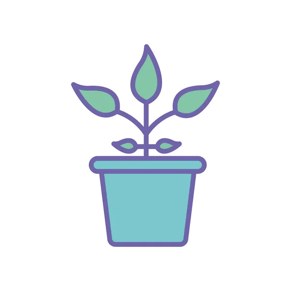 Planta aislada dentro de la línea del pote y el diseño del vector icono de estilo de relleno — Vector de stock