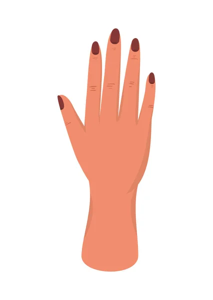 Isolated female hand vector design — ストックベクタ