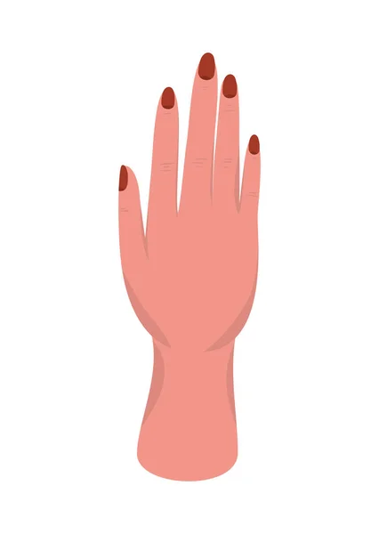 Isolated female hand vector design — ストックベクタ