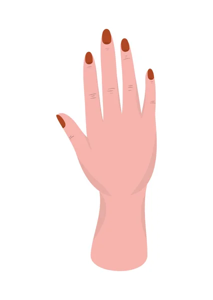 Isolated female hand vector design — Stok Vektör