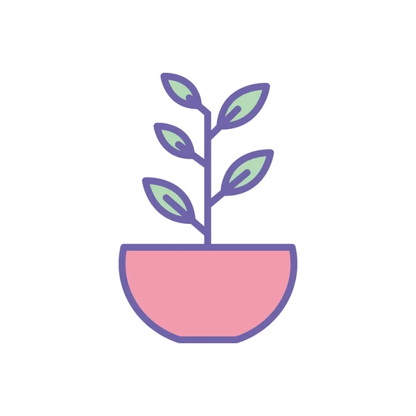 Isolated plant inside pot line and fill style icon vector design — Stok Vektör