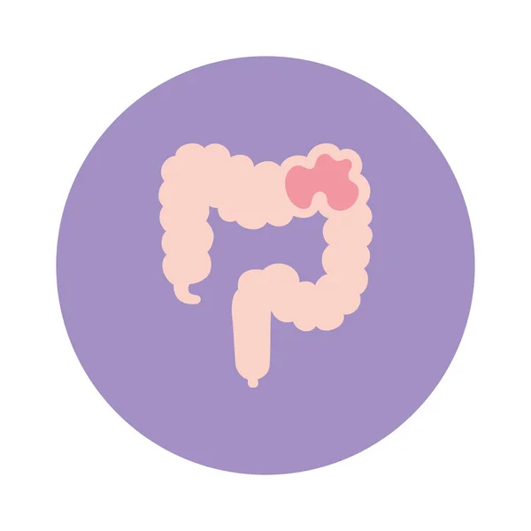 Isolato disegno vettoriale icona intestino crasso — Vettoriale Stock