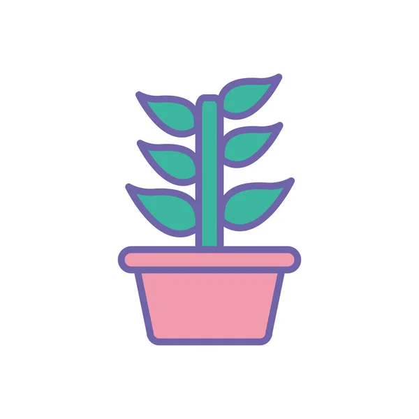 Isolated plant inside pot line and fill style icon vector design — ストックベクタ