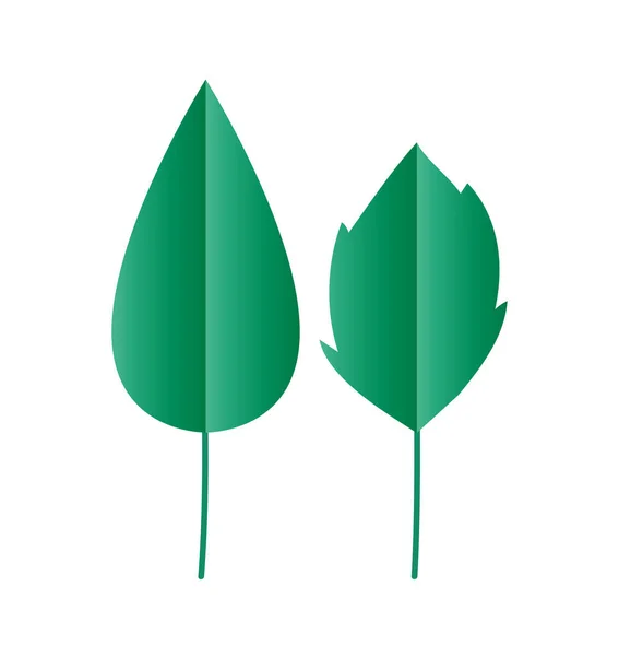 Изолированный вектор естественных листьев — стоковый вектор