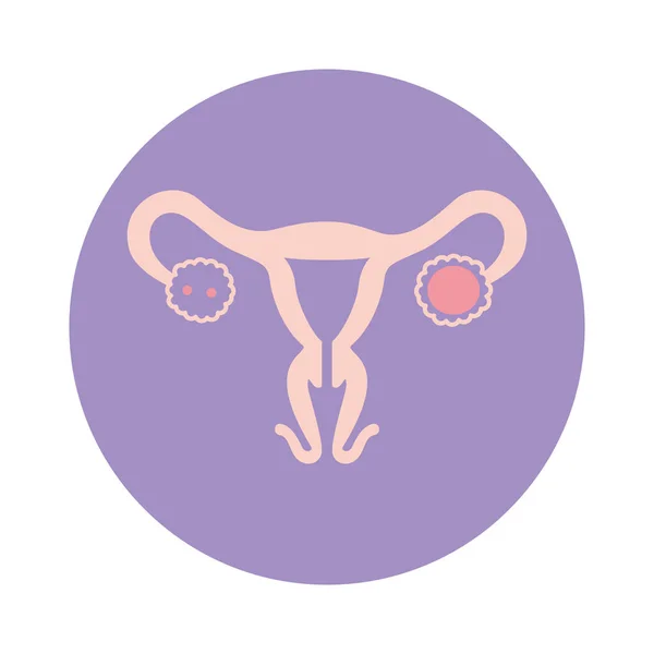 Projeto vetorial de ícones do sistema reprodutivo feminino isolado —  Vetores de Stock