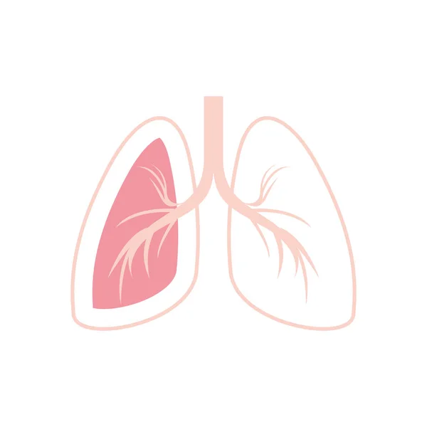 İzole akciğerler ikon vektör tasarımı — Stok Vektör