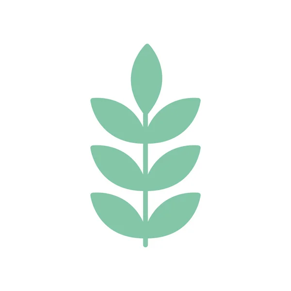 Isolated natural leaves flat style icon vector design — Stock Vector