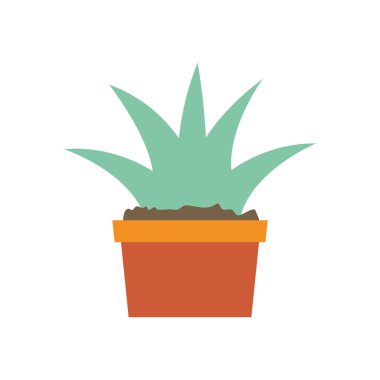 Isolated plant inside pot flat style icon vector design