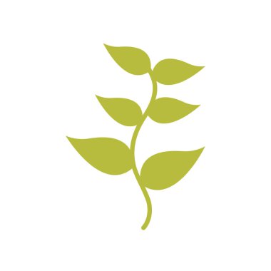 İzole edilmiş doğal yapraklar düz biçim ikon vektör tasarımı