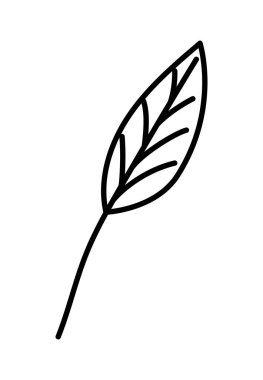 İzole edilmiş doğal yaprak vektör tasarımı