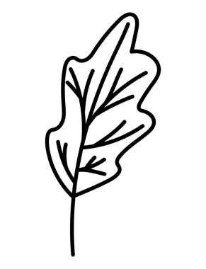 İzole edilmiş doğal yaprak vektör tasarımı