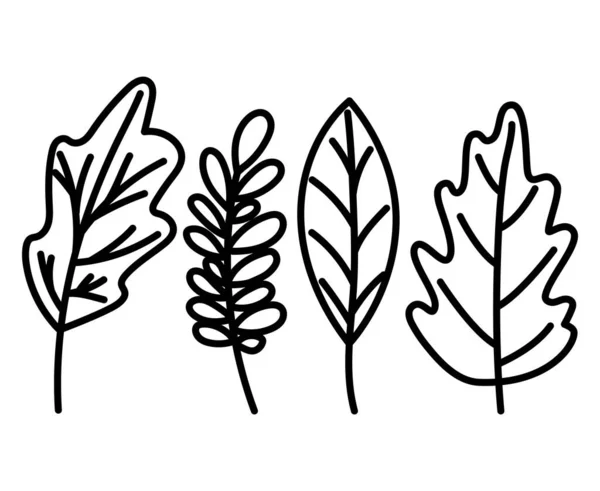 Ізольовані натуральні листя Векторний дизайн — стоковий вектор