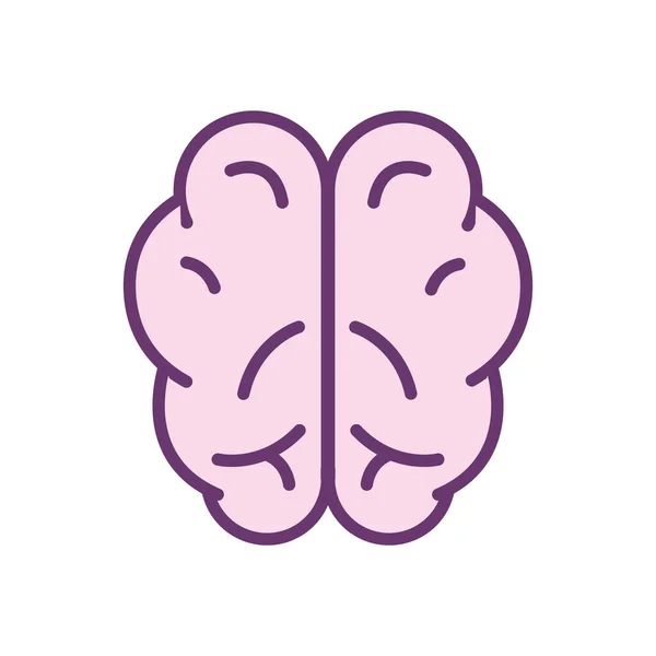 Diseño de vectores de iconos de línea cerebral humana — Vector de stock