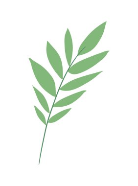 İzole edilmiş doğal yaprak vektör tasarımı