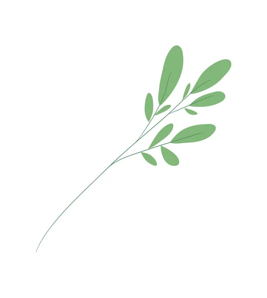 Conception isolée de vecteur naturel de feuilles — Image vectorielle