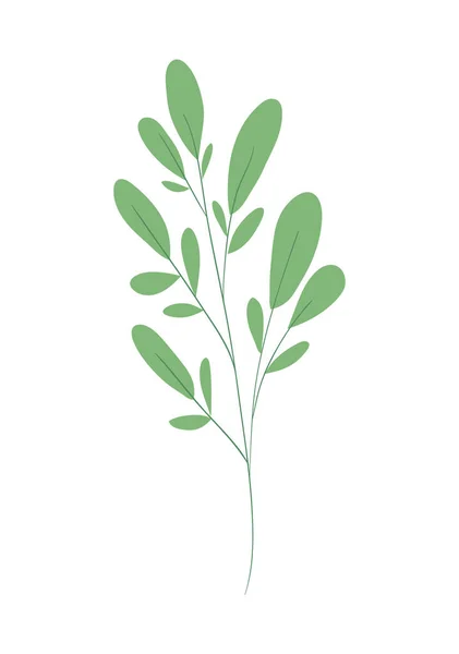 독립 된 천연 잎 벡터 설계 — 스톡 벡터