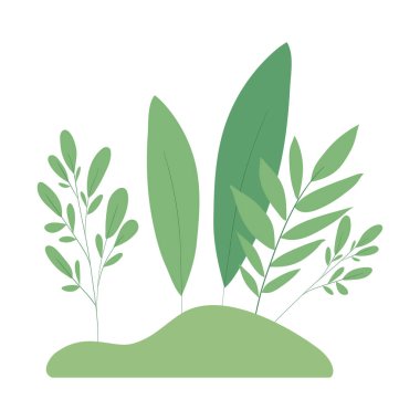 İzole edilmiş yeşil yapraklar vektör tasarımı