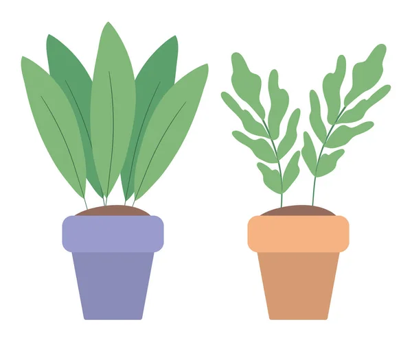 Plantas aisladas dentro de macetas diseño vectorial — Vector de stock