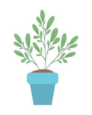 Ot vektör tasarımı içinde izole edilmiş bitki