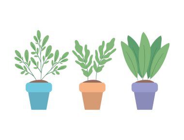 Tencere vektör tasarımının içindeki izole bitkiler