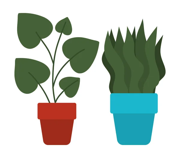 Plantes isolées à l'intérieur des pots conception vectorielle — Image vectorielle
