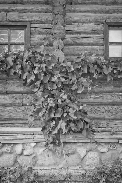 Ventanas en pared de madera blanco y negro —  Fotos de Stock