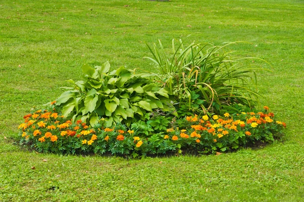 Cama de flores en un césped verde — Foto de Stock
