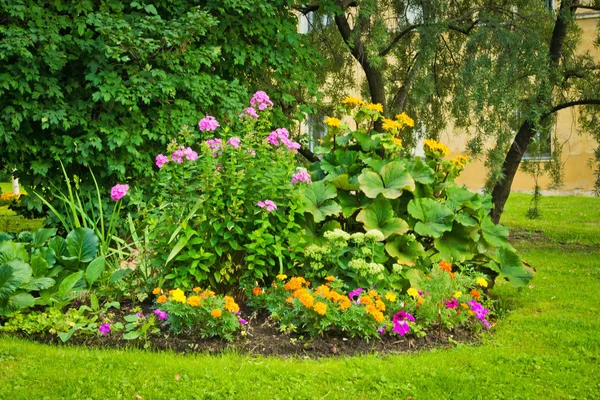 Macizo de flores en el parque junto a la pared — Foto de Stock