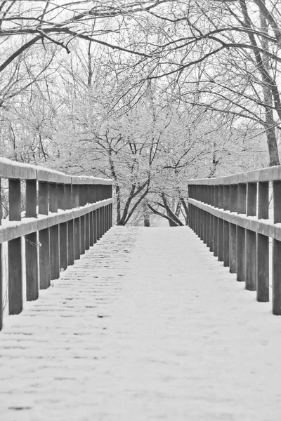 Most ve sněhu na zimní den černé a bílé — Stock fotografie