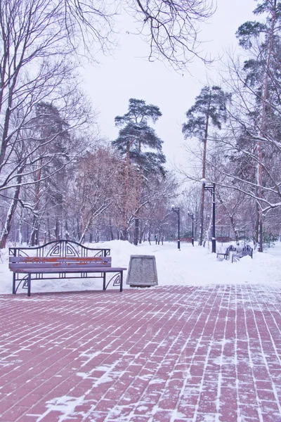 Banco y linternas en el parque de invierno — Foto de Stock