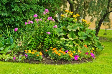 çiçek park yatakta 