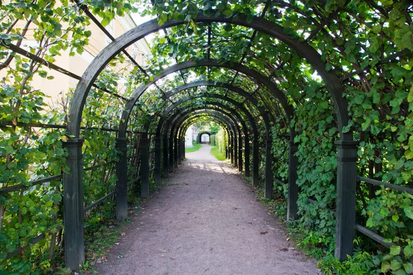 Caminho em arco verde no parque — Fotografia de Stock