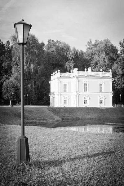 Casa y lámpara en la orilla del estanque en blanco y negro — Foto de Stock