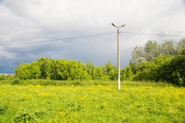 sokak lambası ve ağaçlar yaz gününde 