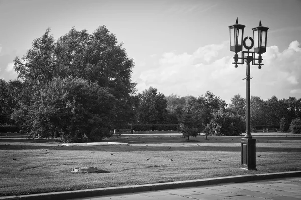 Lampy uliczne w parku miejskim na lato dzień czarno-białe — Zdjęcie stockowe