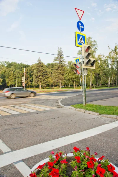 Светофоры рядом с дорогой в городе летом — стоковое фото