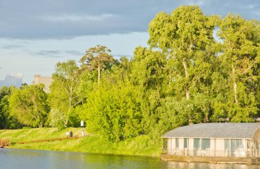 parkta gölet görünümünü bir yaz gününde