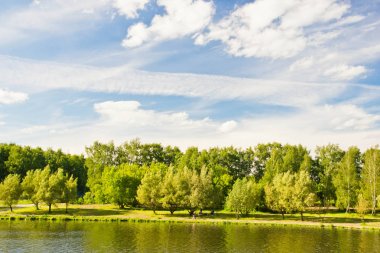 ağaçlar güneşli bir göl kıyısında