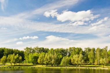 ağaçlar güneşli bir göl kıyısında