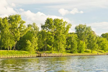 ahşap yol boyunca yaz gününde Gölü