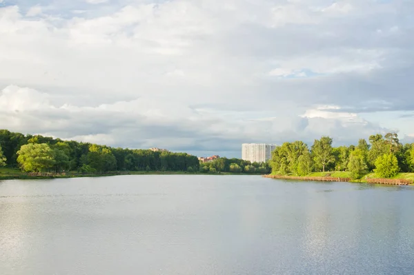 Vista del estanque en el parque en el día de verano —  Fotos de Stock