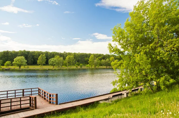 여름 날에 연못에 벤치 — 스톡 사진