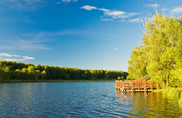 Fából készült móló, egy tó nyáron — Stock Fotó