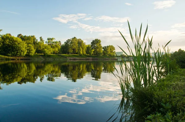 Yaz akşam üzerinde bir göl kıyısında çimen