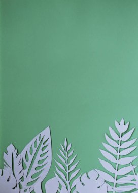 yeşil zemin üzerine beyaz kağıt yaprakları
