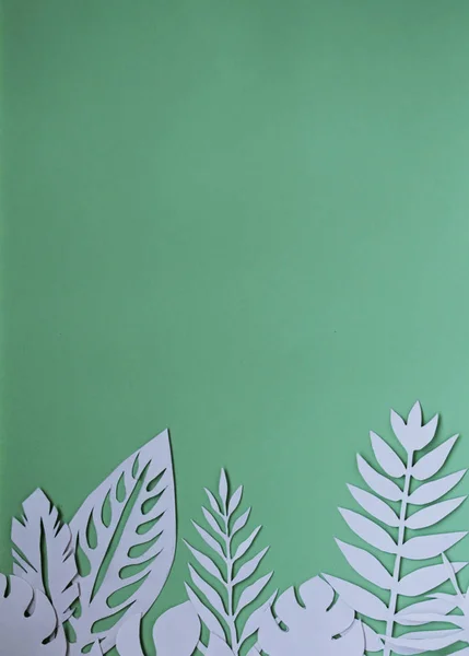 white paper leaves on the green background